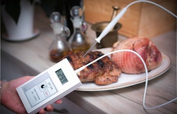 Termometr DT34 ze wzmocnioną sondą ST03 do 270°C