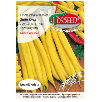 Fasola Złota Saxa nasiona