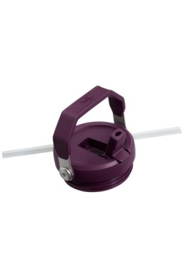 Кружка Stanley The Iceflow Flip Straw Tigerlily Plum, 0,89 л