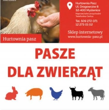 Пшеница 25 кг