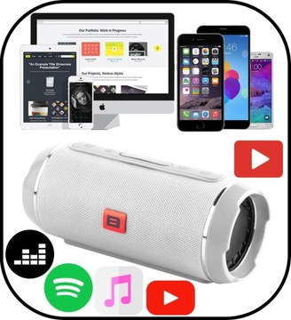 МОЩНЫЙ ДИНАМИК BLUETOOTH USB SD ПОРТАТИВНОЕ БЕСПРОВОДНОЕ РАДИО БУМБОКС TOWER