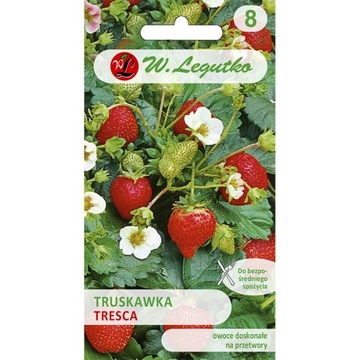 Nasiona truskawka Tresca 0,03g Legutko