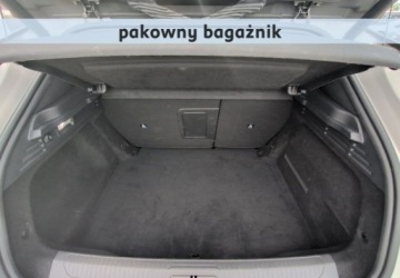  DS Automobiles DS 4 Performance Line FV23 Od RiA 1.2 Benzyna 130KM, zdjęcie 5