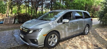 Honda Odyssey IV 2020 Honda Odyssey Ex-L 2020 rok