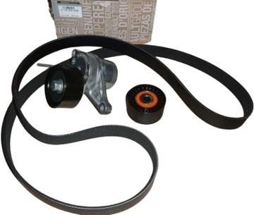 Kpl paska klinow 117201902R 2,3dci Master III ORG