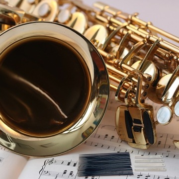 Игла для ремонта музыкальных инструментов.