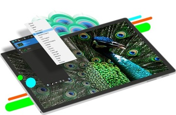 COREL PaintShop Pro 2023 Mini box