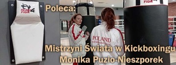 Боксерская груша стоя 180 см.