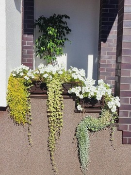 Клумба, перила, кронштейн для забора, подоконник