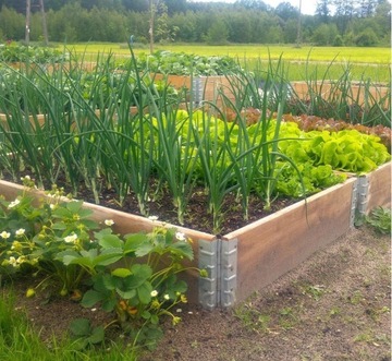 ЯЩИК ДЛЯ ОВОЩЕЙ ДЕРЕВЯННЫЙ ТРАВНИК 80х120х20см ВЫСОКИЙ ОСМОТР