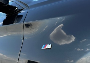 BMW X6 F16 Crossover xDrive 40d 313KM 2018 BMW X6 40d 313 KM xDrive Led M Pakiet HarmanKardon ACC Kamera Navi Salon PL, zdjęcie 10