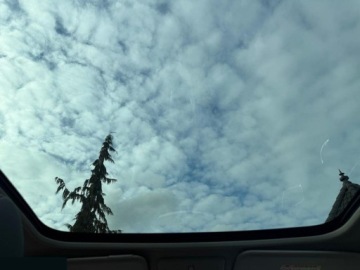 Nissan Qashqai II Crossover 1.2 DIG-T 115KM 2016 Nissan Qashqai 1.2 DIG-T Tekna Xtronic 115KM 2016r bezwypadkowy, zdjęcie 21