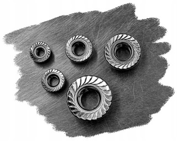 ГАЙКА ФЛАНЕЦ ИЗ НЕРЖ. НЕРЖ. M5 A2 6923 (50)