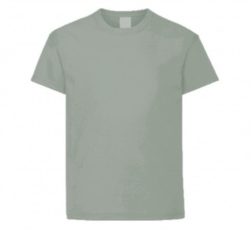 KOSZULKA DZIECIĘCA T SHIRT BLUZKA JASNOSZARA 122