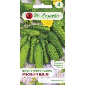 OGÓREK KONSERWOWY WISCONSIN SMR 58 5 G LEGUTKO