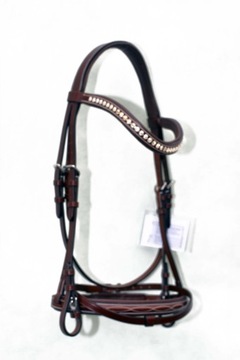 Профилированная анатомическая команда полна