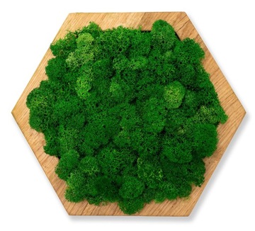 НАСТЕННЫЕ ПАНЕЛИ СВЕТЛЫЙ МОХ ШЕСТИГРАННИК МИНИ