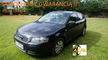 Audi A3 8L Hatchback 1.6 i 102KM 2003