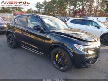 Alfa Romeo Stelvio 2019 Alfa Romeo Stelvio 2019 Alfa Romeo Stelvio Quadrifoglio AWD 2.0 Benzyna