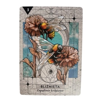 Астро-оракул звездных кодов