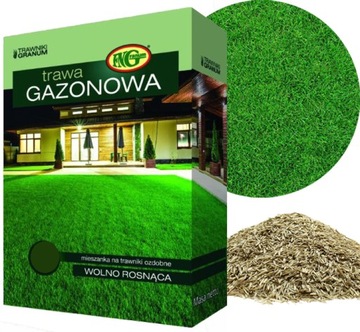 TRAWA GAZONOWA 0,1kg ODPORNA OZDOBNA DOSIEWKA 100G