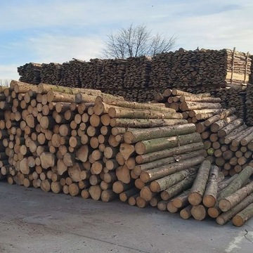 БЕНЗИНОВАЯ ПИЛА ЦЕПНАЯ ПИЛА 6,5 Л.С. НАБОР XXL