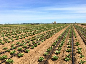 Комплект Некомпенсированная капельная линия 50 м + 50 штифтов / 87 аксессуаров