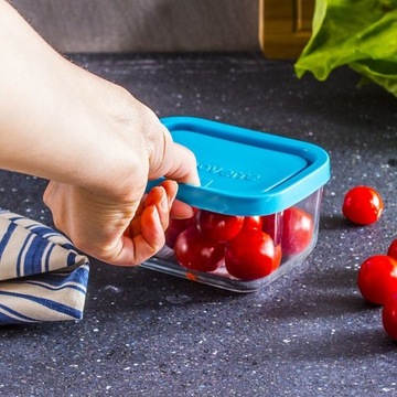 Контейнеры Bormioli Rocco Frigoverre, 5 шт, прозрачные