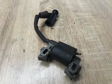 МОДУЛЬ КАТУШКИ PERFORMANCE POWER 5HP КАТУШКА ИСКРА