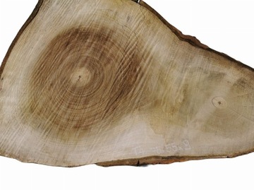 Срез тополя 75x55см Пиломатериалы из тополя