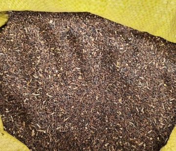 Facelia nasiona miododajna poplon nawóz 20kg IIGAT