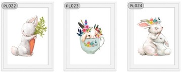 KRÓLIKI KRÓLICZKI PLAKAT PLAKATY 50CMX70CM