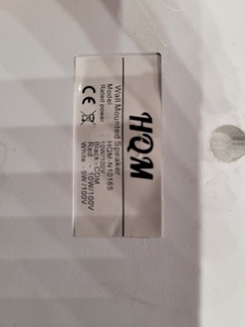 HQM-N10165 — настенный динамик