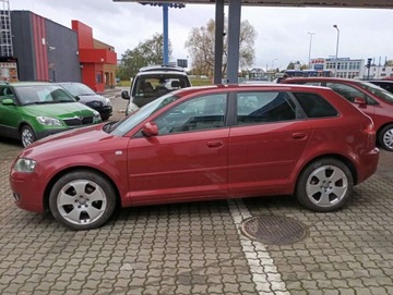 Audi A3 8P Hatchback 3d 1.6 FSI 115KM 2007 Audi A3 Sportback 1.6 benzyna CLIMATRONIC PIEKNY kolor bez rdzy 1.6 115KM, zdjęcie 6