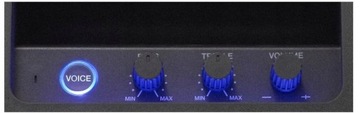 PIONEER Караоке Power Audio XW-SX70-B Bluetooth