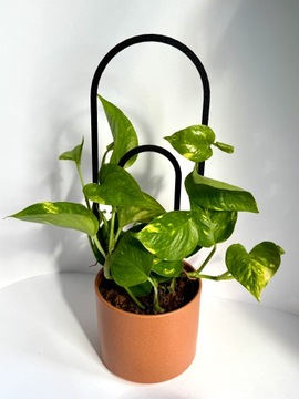 Опора для вьющихся растений Опора для вьющихся цветов Лестница для перголы 38 см