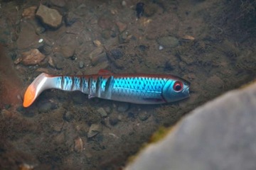 Savage Gear Cannibal Shad 17,5 см Плотва