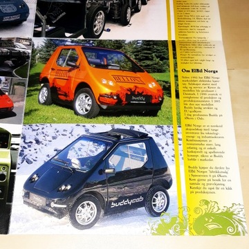 Бадди Электрик