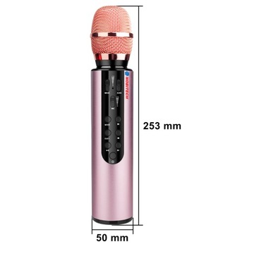 ДЕТСКИЙ МИКРОФОН БЕСПРОВОДНОЙ КАРАОКЕ BLUETOOTH ДИНАМИК С ЗАПИСИ ЭХО