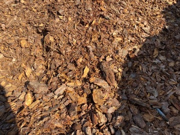 20x Кора сосновая 60л фракция 1-12см свежая с лесопилки ДОСТАВКА