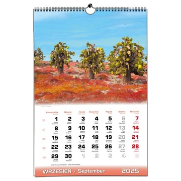 Календарь настенный 2025 B3 33 х 48 см 13 досок ПЕЙЗАЖИ МИРА