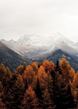 Jesień w Górach plakat na ścianę 50x70 cm