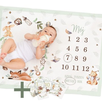 FOTO KOCYK TŁO do zdjęć Pierwszy Rok +KARTY GRATIS