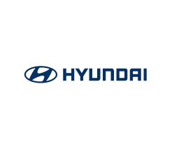 HYUNDAI ZNAK TERRACAN STŘÍBRNY 86310H1020