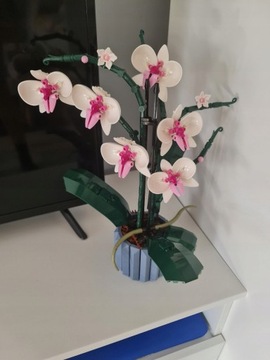 Конструкторы Орхидея / 608 элементов / Упакованы в декоративную картонную коробку