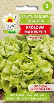 Sałata masłowa Królowa Majowych - 2g TORAF
