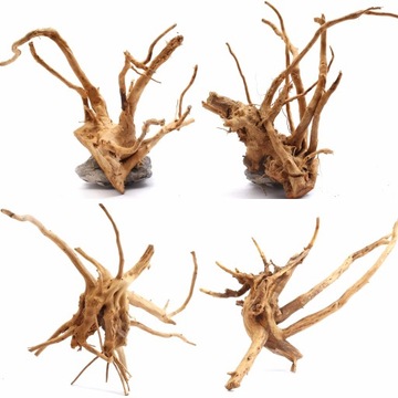 5x Korzeń Japoński Red Moor do Naturalny Akwarium lub Terrarium 15-20cm