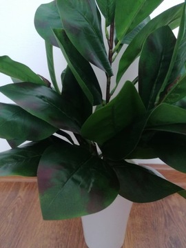 Ficus Oakleaf искусственный цветок кротон украшение