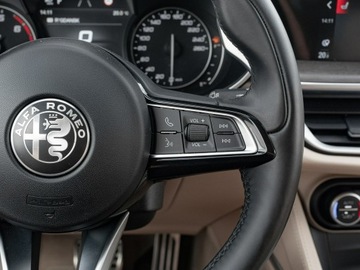 Alfa Romeo Stelvio SUV Facelifting 2.0 Turbo 280KM 2021 Alfa Romeo Stelvio WD1861S#2.0 Turbo 6C Villa, zdjęcie 17