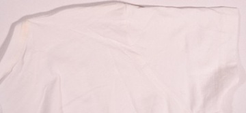 LEE t-shirt WHITE logo SPENCER T _ L